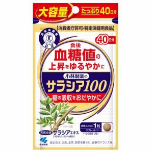 小林製薬のサラシア100 大容量(120粒)[ダイエットサプリメント その他]