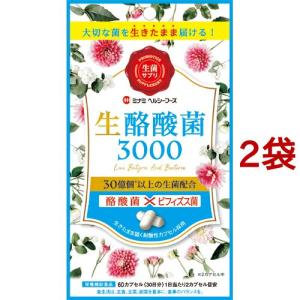 酪酸菌 サプリの通販|au PAY マーケット