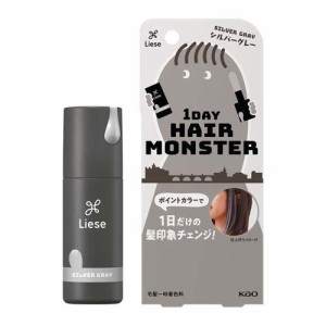 リーゼ 1DAYヘアモンスター シルバーグレー(20ml)[ヘアカラー その他]