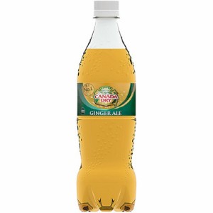 カナダドライ ジンジャーエール PET(700ml*20本入)[炭酸飲料]