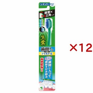 生葉 歯間に入るブラシ マイルド毛 レギュラー(12セット)[歯ブラシ]