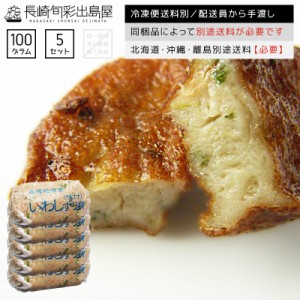 【1,400円→999円】干物屋さんのイワシすり身 100g 5個 冷凍便 常温品と同梱不可 同梱品によって別途送料必要 北海道・沖縄県・離島配送