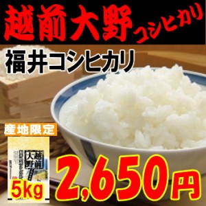 越前大野コシヒカリ（福井コシヒカリ）5kg　もっちり・甘め　米/お米/30/程よい味 玄米,白米,分搗き選択可能