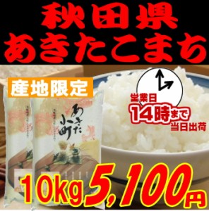 即納OK 令和２年産 [岩川水系米]秋田県あきたこまち10kg5,000円 玄米,白米,分搗き選択可能