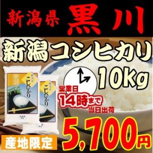 令和２年度 新潟コシヒカリ１0kg 5,700円　生産地限定「黒川コシヒカリ」　玄米,白米,分搗き選択可能