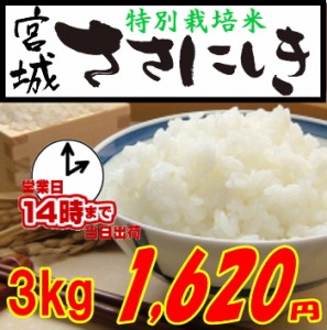 令和２年度宮城ささにしき　特別栽培米　３ｋｇ（宮城県登米市限定）　白米・玄米・３分搗き・７分搗き選択可能　お米