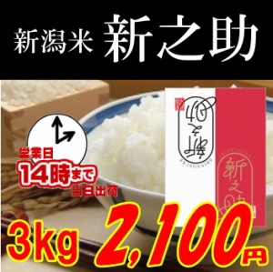 新潟 新之助3kg 玄米,白米,分搗き選択可能