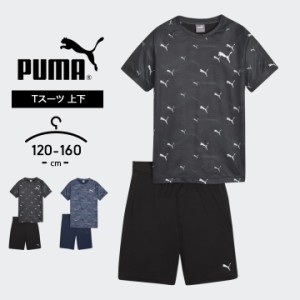 プーマ Tシャツ ハーフパンツ 上下セット キッズ ジュニア 女の子 男の子 春夏 puma セットアップ スポーツ おしゃれ 子供用 こども トッ