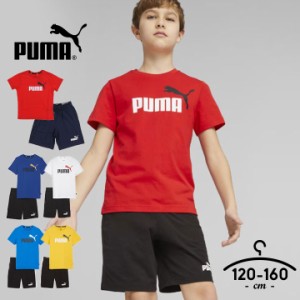 プーマ tシャツ 半袖 ハーフパンツ 上下 セットアップ キッズ ジュニア 男の子 女の子 120cm 130cm 140cm 150cm 160cm PUMA 子供服 トッ