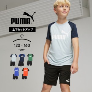 プーマ PUMA 半袖Tシャツ ハーフパンツ Tスーツ 男の子 キッズ ジュニア 120cm 130cm 140cm 150cm 160cm トップス ボトムス 短パン ショ