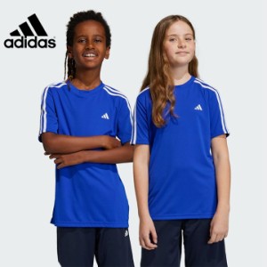 アディダス Tシャツ ハーフパンツ 上下セット キッズ ジュニア adidas 女の子 男の子 Tスーツ セットアップ 白T 小学生 中学生 140cm 150