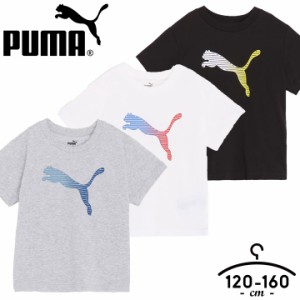 プーマ PUMA 半袖Tシャツ キッズ ジュニア 男の子 春夏 おしゃれ 120cm 130cm 140cm 150cm 160cm 子供服 ダンス スポーツウェア 部屋着 