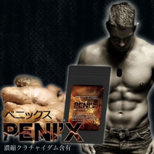 ポイント増量 ペニックス PENIX 240粒 サプリメント 健康食品 メンズ 男性 クラチャイダム〔mr-1304〕