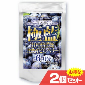 極藍100倍濃縮北欧産ビルベリー 大容量約6ヵ月分 2個セット アイケア サプリ アントシアニン ルテイン〔mr-1576-2〕