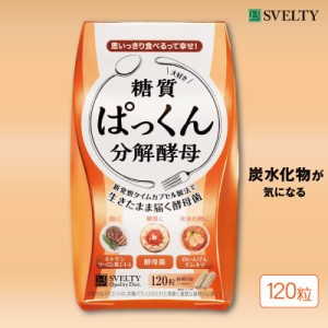 ぱっくん分解酵母 120粒 ダイエット サプリメント 酵母 酵素 糖質 キトサン 白いんげん サラシア スベルティ SVELTY〔mr-1898〕