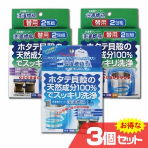 洗濯槽快 2包組ネットつき＋替用2包組×2個セット 洗濯槽 クロカビ除去 部屋干し臭対策 ヌメリ 悪臭 除去〔mr-3101-SET〕