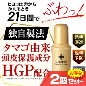 ポイント増量 薬用育毛剤 グローヘアローション 2個セット HGP 配合 発毛促進 脱毛予防 育毛 頭皮 抜け毛 薄毛〔mr-3292-2〕