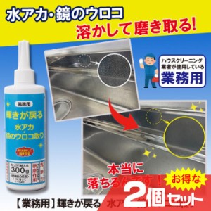 業務用 輝きが戻る 水アカ・鏡のウロコ取り 業務用洗剤 2個セット シンク IH天板 蛇口 ステンレス 磨き取る クリームタイプ キッチン お