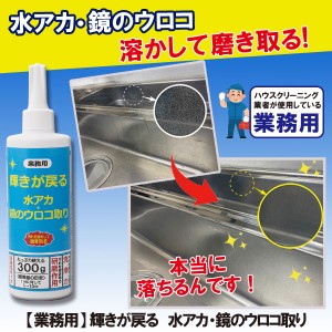 業務用 輝きが戻る 水アカ・鏡のウロコ取り 業務用洗剤 シンク IH天板 蛇口 ステンレス 磨き取る クリームタイプ キッチン お掃除 ピカピ