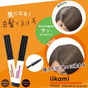 iikami TOTONOE MASCARA for gray hair メール便OK いい髪 整え マスカラ ヘアケア スタイリング 白髪 アホ毛 染まる ブラック ブラウン