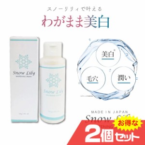 Snow Lily スノウリリー 2個セット 医薬部外品 スキンケア 美容 シミ シワ くすみ たるみ 美肌 保湿 潤い〔mr-3544-2〕