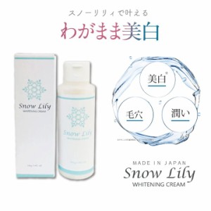 Snow Lily スノウリリー 医薬部外品 スキンケア 美容 シミ シワ くすみ たるみ 美肌 保湿 潤い〔mr-3544〕