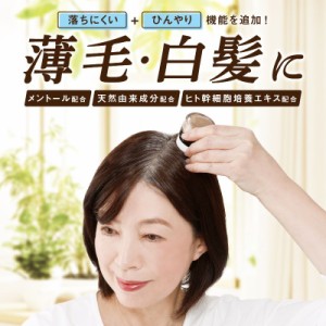 クイックヤング 落ちにくいヘアパウダー 白髪対策 薄毛対策 分け目 隠す ヘアファンデーション 生え際 ふりかけ 簡単 太く 濃く〔mr-3765