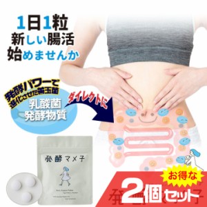 発酵マメ子 タブレット 30粒x2個セット サプリメント バイオジェニックス 乳酸菌 善玉菌 腸活 国産有機大豆 美容 植物繊維 ヨーグルト味