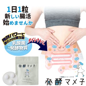 発酵マメ子 タブレット 30粒 サプリメント バイオジェニックス 乳酸菌 善玉菌 腸活 国産有機大豆 美容 植物繊維 ヨーグルト味〔mr-3883〕