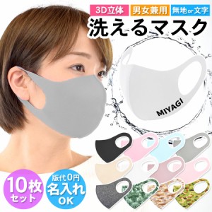 マスク 洗える 名入れ 在庫有り 小さめ 洗えるマスク 立体マスク おしゃれ 10枚セット 男女兼用 3Dマスク (ns0009)