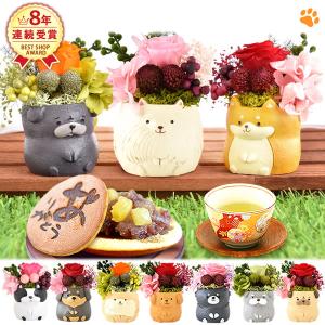 誕生日プレゼント お祝い 花とセット 犬 わんちゃん ギフト プレゼント プリザーブドフラワー 送料無料 選べる 花とスイーツセット 和菓