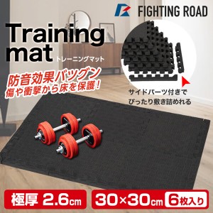 FIGHTING ROAD 841FR20CM5605 トレーニングマット30cm×30cm(6枚入) メーカー直送