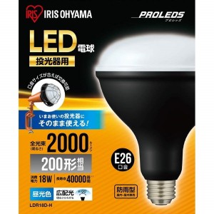 アイリスオーヤマ LDR18D-H [投光器用交換電球 2000lm] メーカー直送