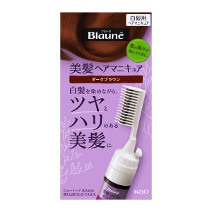 花王 ブローネ美髪ヘアマニキュア ダークブラウン クシ付72g