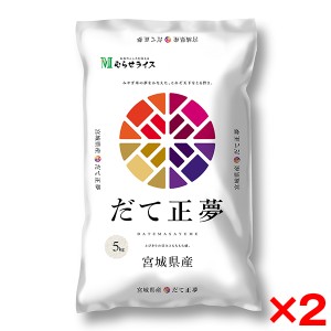 令和五年度産 宮城県産 だて正夢 10kg(5kg×2) メーカー直送