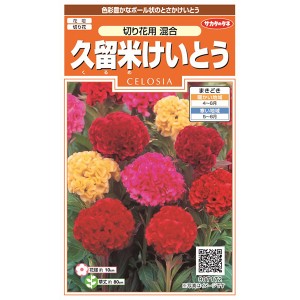 サカタのタネ 花種 久留米けいとう 切り花用混合【あす着】