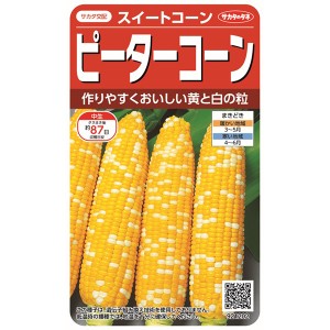 サカタのタネ 野菜種 スイートコーン ハニーバンタムピーターコーン【あす着】