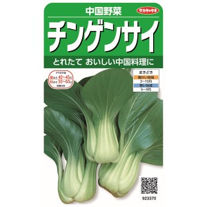 サカタのタネ 野菜種 チンゲンサイ【あす着】