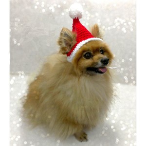 海外 ペットコスプレ クリスマス サンタ帽子 ニット帽子 ペット用帽子 犬コスプレ 猫コスプレ ペットグッズ コスチューム 衣装 小型犬 中