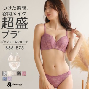 30%OFF ブラジャー ショーツ セット 総レース 超盛ブラ(R) ブラジャー&ショーツ 下着 レディース 脇高ブラ 盛ブラ 女性 脇肉 脇高 背肉 