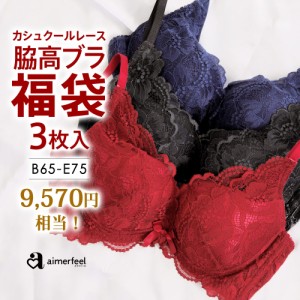 30%OFFクーポン有 福袋 送料無料 ブラジャー 福袋 カシュクールレース脇高ブラ(R) 3枚入福袋 下着セット ブラジャー 下着 福袋 aimerfeel