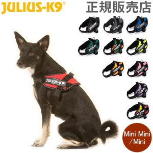 [あす着] ユリウスケーナイン Julius-K9 IDC パワーハーネス 小型犬 中型犬 Mini Mini / Mini 犬用 ハーネス