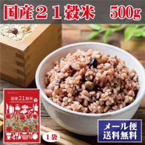 国産 ２１穀米　500ｇ×１袋　メール便 送料無料　食物繊維　健康　雑穀　栄養　クセになる 食感