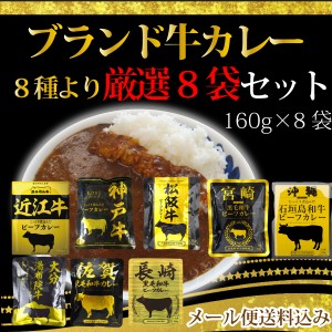 ブランド牛のビーフカレー8種より厳選8袋セット (1人前160g × 8袋) 中辛 松坂牛 近江牛 宮崎黒毛和牛 神戸牛　他4種　計8種　メール便送