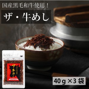 カワモト 国産黒毛和牛使用　ザ・牛めし 40g×3袋 メール便　送料込