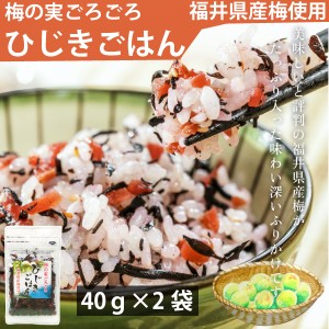 カワモト 梅の実ごろごろひじきごはん 40g×2袋  メール便　送料込