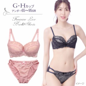 【大きいサイズ】フェミニンレースブラジャー&ショーツセット下着(J6020) G H 65 70 75 80 85 90 95 No.bs2214