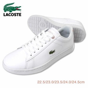 【箱アウトレット】LACOSTE CARNABY EVO BL 21 1 SFA レディース用スニーカーシューズ 22.5 23 23.5 24 24.5 ラコステ  No.sh1699