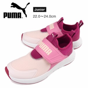 【箱アウトレット】PUMA Evolve Slip On Jr スニーカーシューズ キッズ・ジュニア 22 22.5 23 23.5 24 プーマ スリッポン sh1893