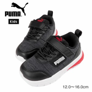 【箱アウトレット】PUMA Evolve Street AC+ lnt 12 13 14 15 16 スニーカーシューズ ベビー・キッズ プーマ ベルクロ 靴 黒 赤 sh1897